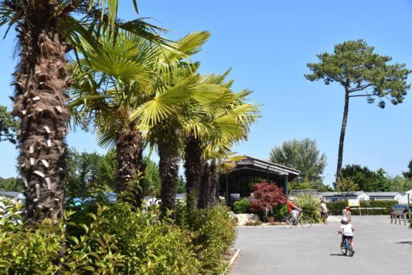 Mobil Home Xxl - Bord Lac - Camping Les Viviers - Lege Cap Ferret ภายนอก รูปภาพ